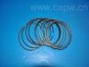 活塞環(huán) Piston Rings:12041-1W400