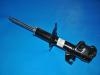 Shock Absorber:54303-ED