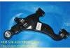 Control Arm:48068-0K010