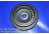 導(dǎo)帶輪 Idler Pulley:12303-6N