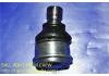 шаравой Ball Joint:40160-ED000