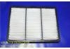 空氣濾清器 Air Filter:17801-50020
