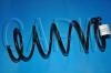 Fahrwerksfeder Coil Spring:55020-0E011