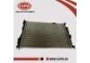 Radiator:21410-JE30A