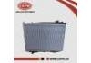 Radiator:21410-P2700
