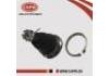 Ball Joint:40160-01G50