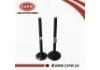 進(jìn)氣門 Inlet Valve:13201-31U01