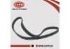 皮帶 Belt:11920-AG900
