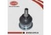 Ball Joint:43350-22050