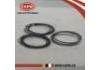 活塞環(huán) Piston Rings:12033-EG201