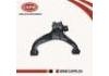 控制臂 Control Arm:54501-VW000