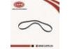 皮帶 Belt:90916-02648