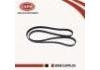 皮帶 Belt:90916-02652