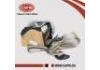 安全帶 Front seat belts:86884-CJ00A