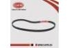 安全帶 Front seat belts:H6885-ED501
