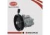Hydraulikpumpe, Lenkung Power Steering Pump:49110-0E000