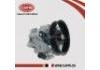 Hydraulikpumpe, Lenkung Power Steering Pump:49110-7N900
