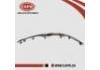 保險(xiǎn)杠飾條 Bumper trim:62075-JN05A